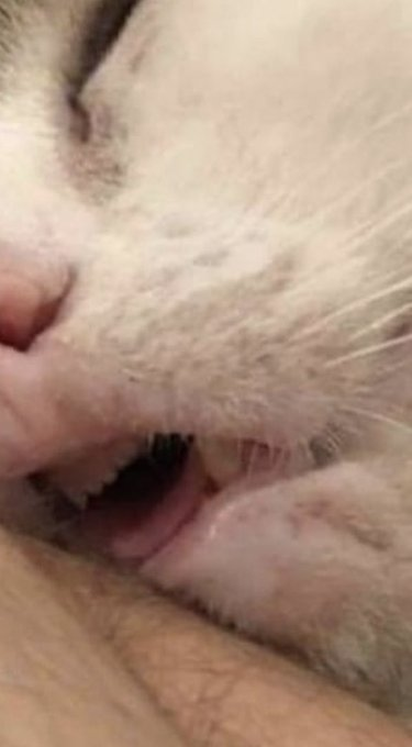 - seguramente te ves re tierno durmiendo
- yo durmiendo:
