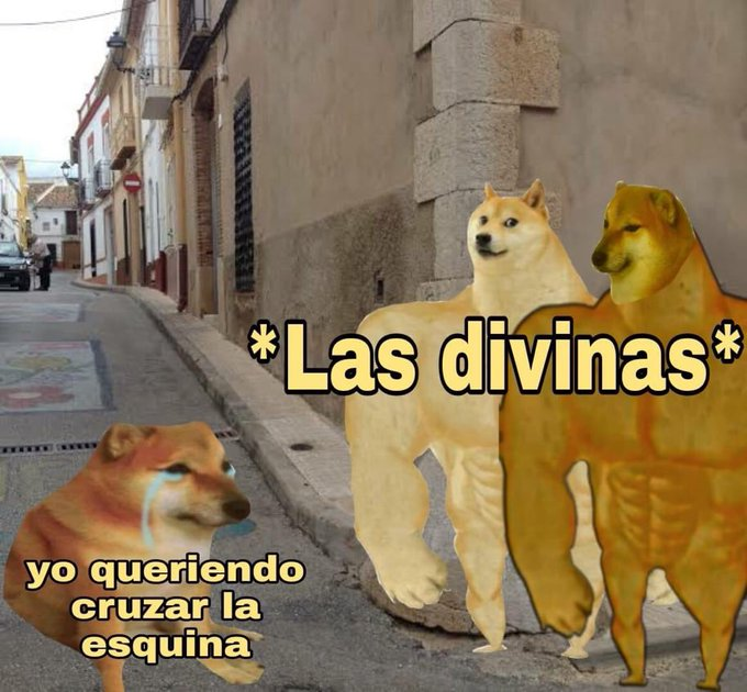 cornulda (@cornulda) on Twitter photo 