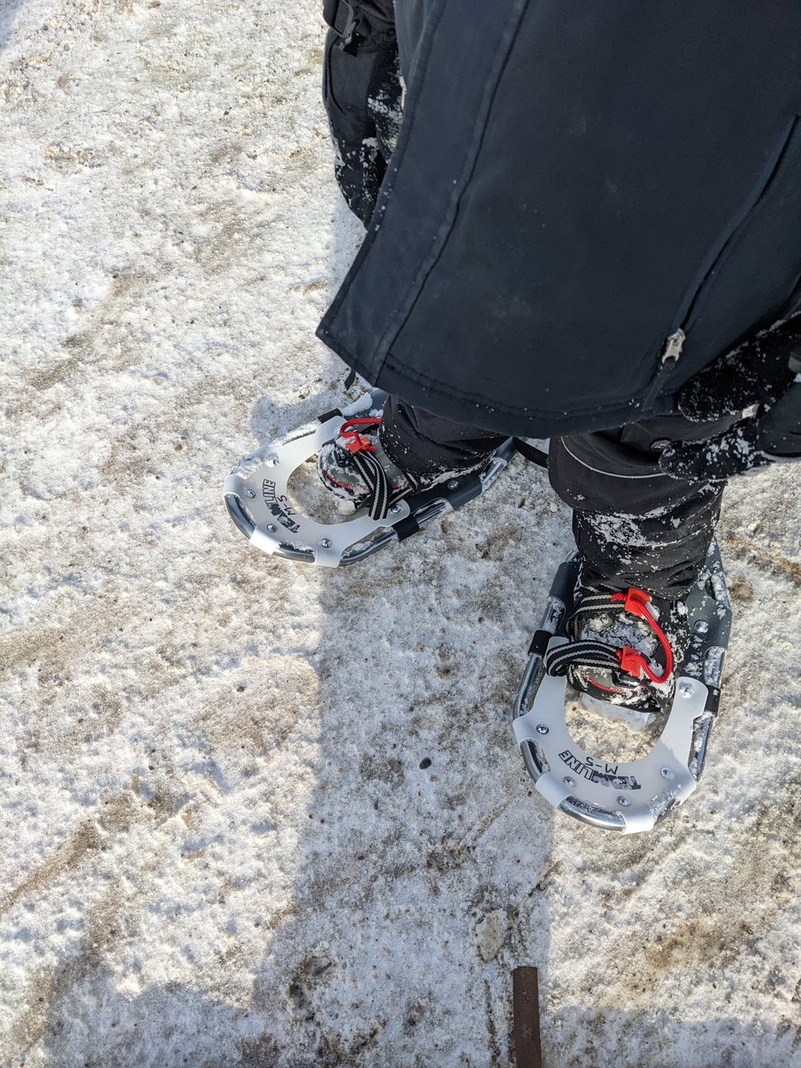 ShieldJanet's tweet photo. Lots of fun happening @WattPS !  Our rink is up and running at recess and thanks to Parent Council we can go snowshoeing again!  @TLDSB https://t.co/1Ai7aimlmg