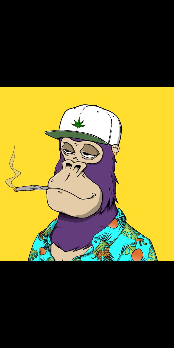 SzechuanSchwift's tweet photo. @whoiscook73 @ChilledKongs @SnoopDogg @SnoopDogg you already know what it is!! Join the #kongaline https://t.co/ca7Hax2PAG