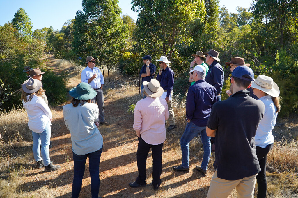 Australian Land Conservation Alliance tweet media