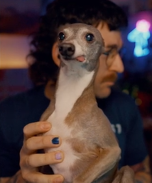 The Nasty Files📁 tweet media