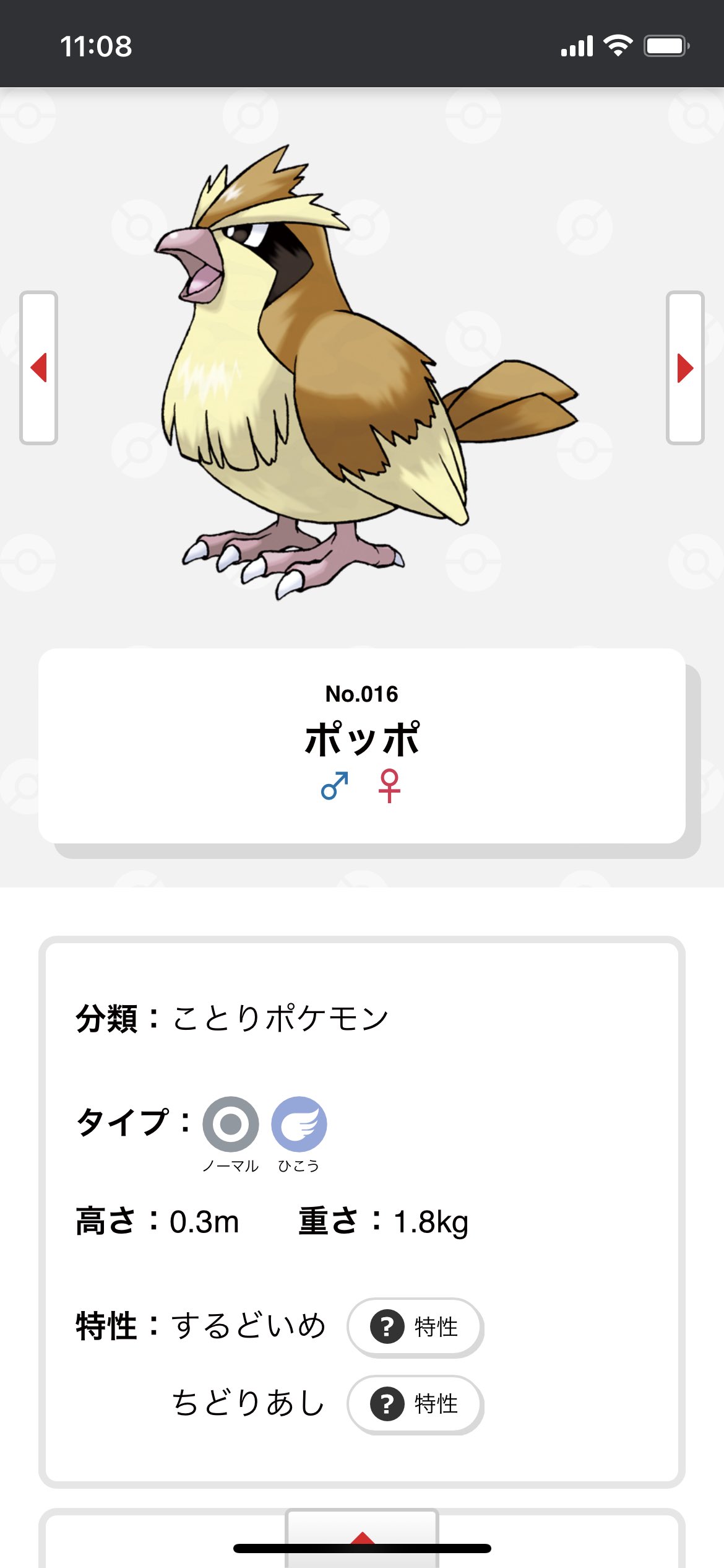 ミラ Mira Uzluvz6qvhgumvy 公式的には ことりポケモン らしい ポケモンに鳥の種類なんてないんだよ T Co jyqo27st Twitter