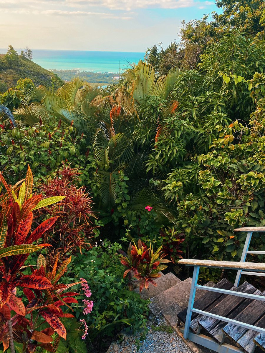 DRTYGLM's tweet photo. Dominican Republic the most beautiful place https://t.co/E1Ht9m4Rs7