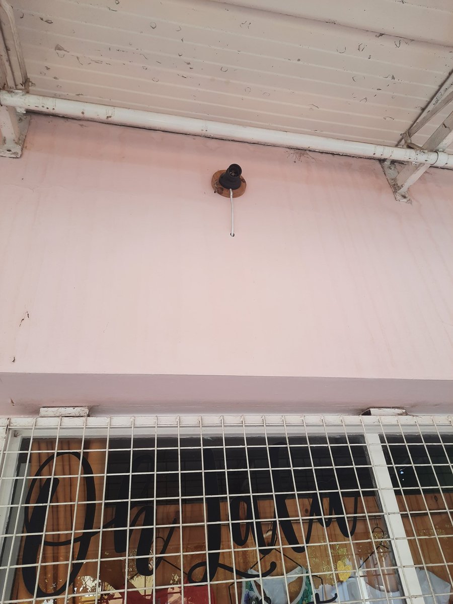 Really me van a robar el foco 🤣