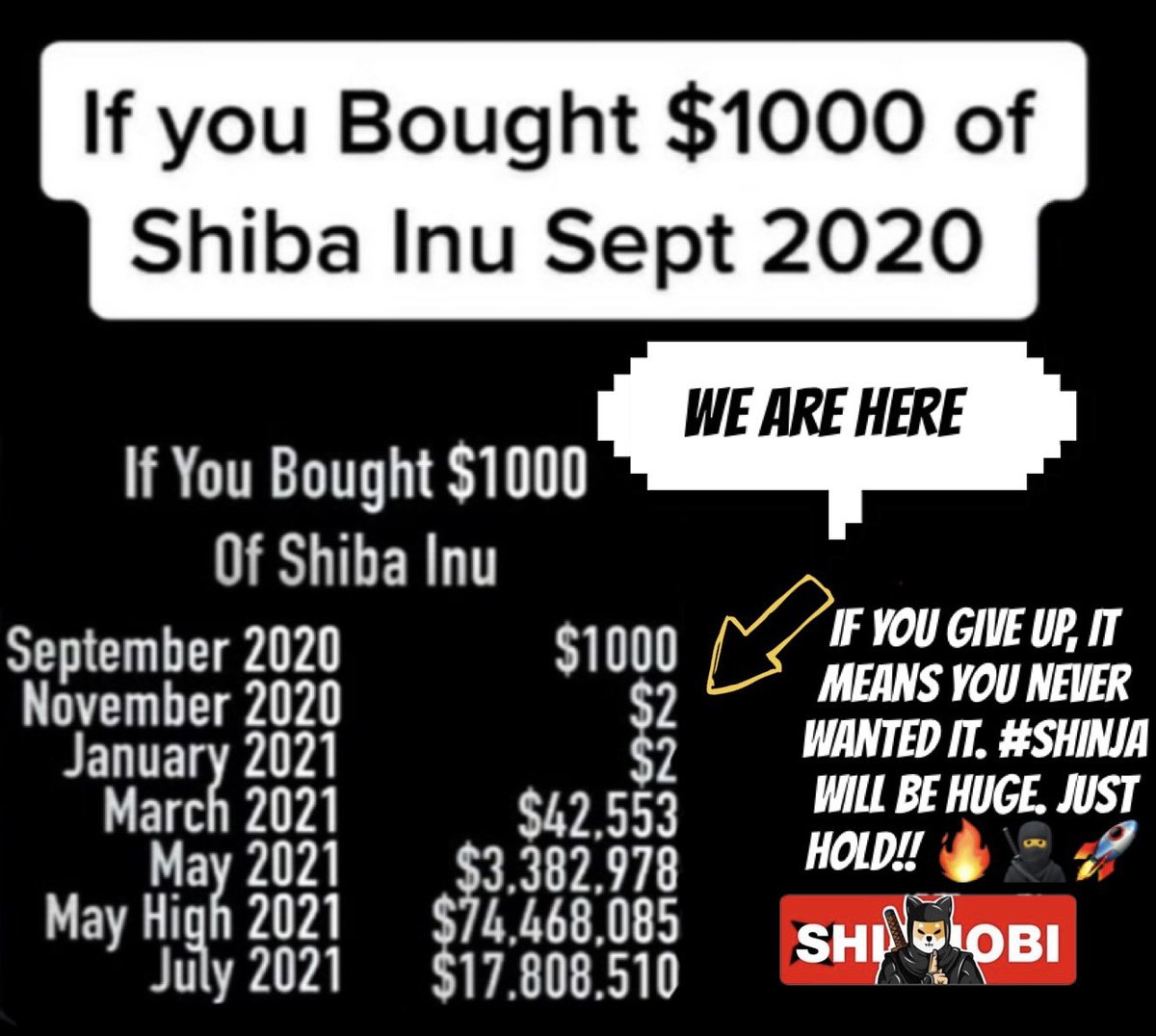 #SHINJA Will Be Huge Soon.Have PATIENCE, #Shibnobi Isn’t Finished Yet. 🔥🥷🚀💰