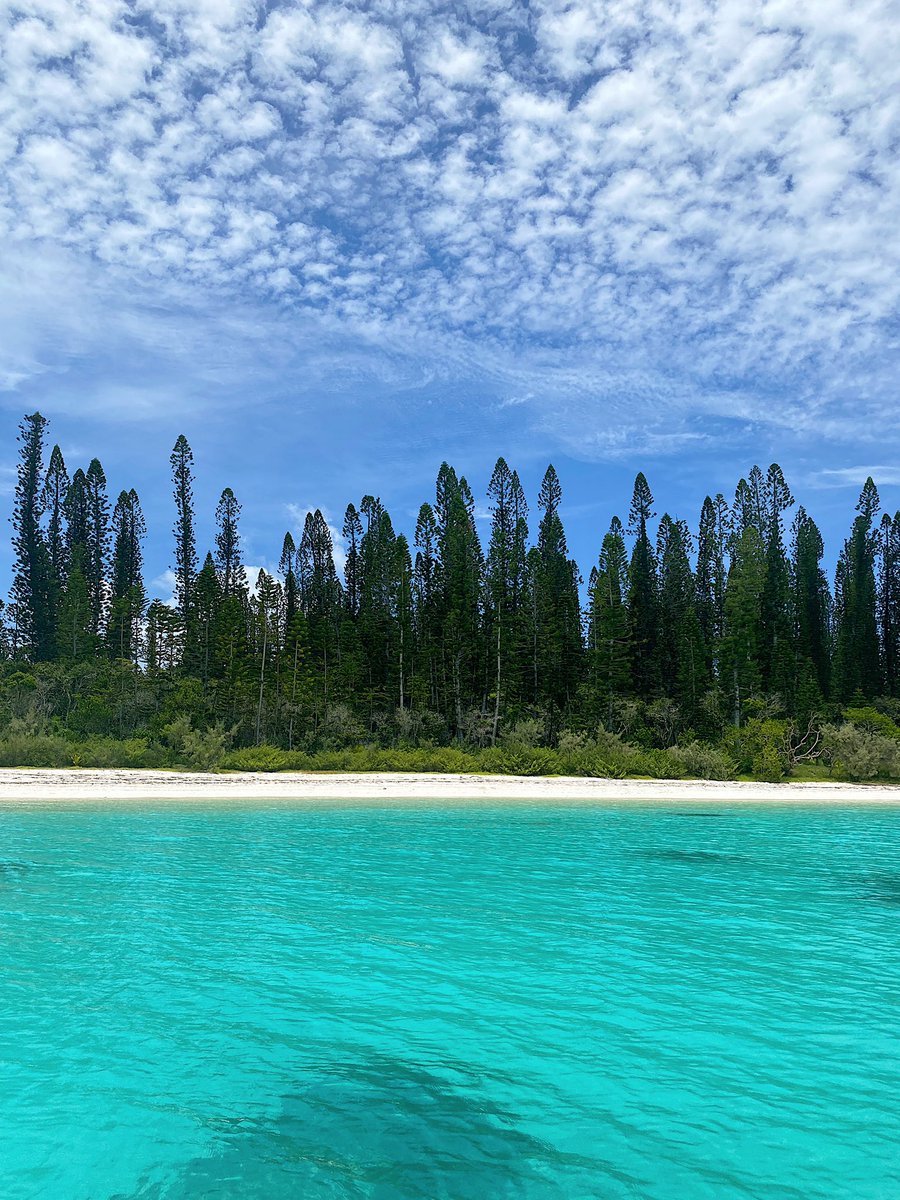 Nouvelle-Caledonie 2022 : Île des pins. 
Une famille en tour du monde 🚀😄
Rejoignez nous sur Instagram 📸 Frenchiesbackpackers 

#noumea #nouméa #nouvellecaledonie #nouvellecalédonie #newcaledonia #newcaledoniatourism #newcal  #blogvoyage #tourdumondiste #tourdumonde