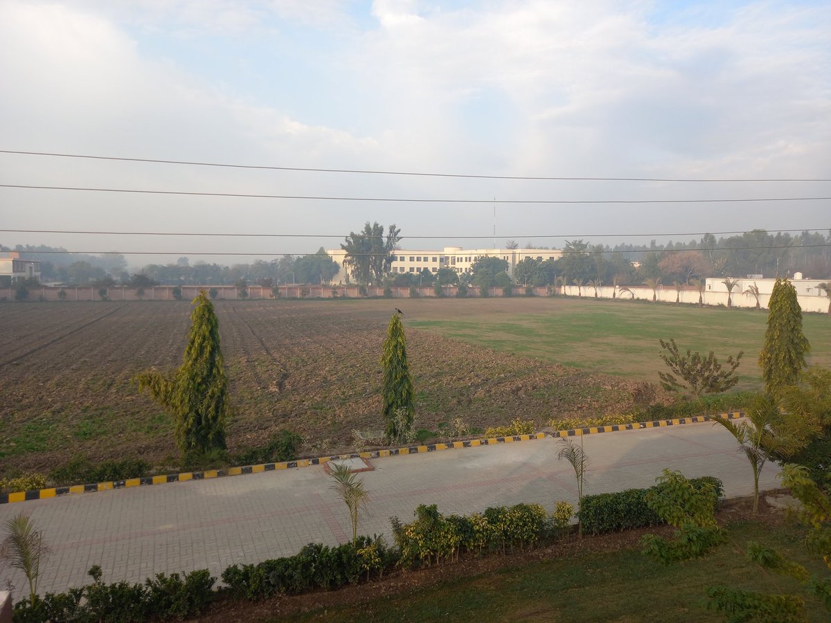Xadeejournalist's tweet photo. At University of Okara for International Media Conference https://t.co/Ow29mR4vQ4