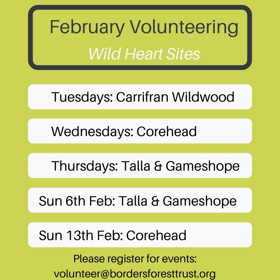 BordersForest's tweet photo. Help create native woodlands at our Wild Heart Volunteering and be involved in landscape scale ecological restoration. 

Or support local woodlands through our Borders Woodland Volunteering, including creating wildlife habitats and surveys.

Info: volunteer@bordersforesttrust.org https://t.co/ujGlFNgDHZ
