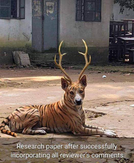 Cranky_Academic's tweet image. As an editor, I giggle. 

As a researcher, I cry.

@Ass_Editors #AcademicTwitter