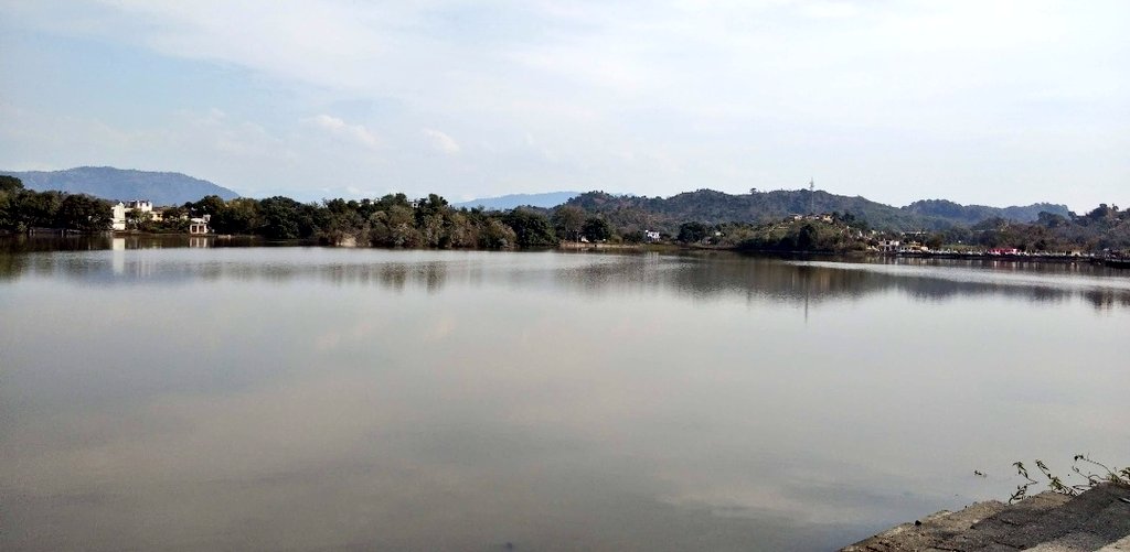 Islambaduk3's tweet photo. Mansar lake in Jammu Division with beautiful creatures in the park. 
#Mansar #beautiful #JK https://t.co/dp0Ekva1pH