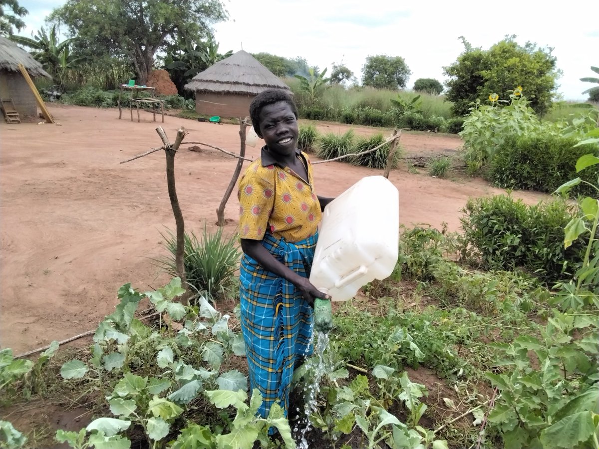 GOALUganda's tweet photo. Apio Rose,36-year-old mother of 6, now provides a diverse & healthy diet for her family in #Agago thanks to her #microgarden under One #Nutrition in Complex Environment study implemented by @GoalUganda together with @TuftsUniversity funded by @FeedtheFuture @USAID @GOAL_Global https://t.co/BK1xOGopWn