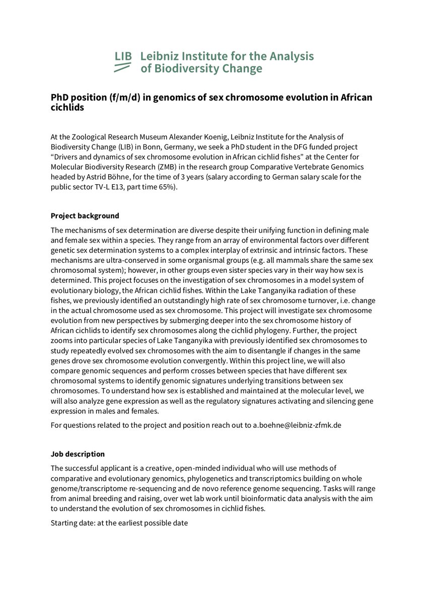 astrid boehne tweet media