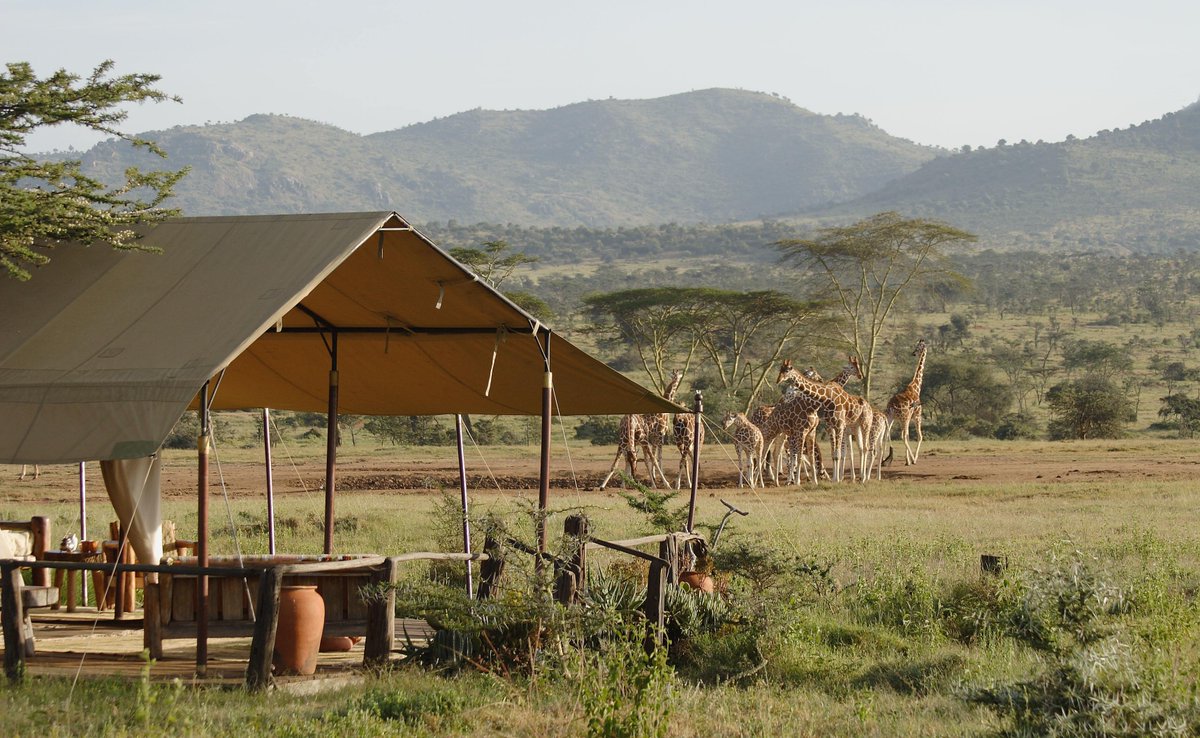 MuthaigaTravel's tweet photo. FITNESS AND WELLNESS RETREAT AT ENASOIT GAME SANCTUARY, LAIKIPIA PLATEAU
WHEN: 22nd - 25th MARCH 2022
Call or Email us TO MAKE YOUR BOOKING
☎️ +254718002012
☎️ +211924052704
📩 info@muthaiga.co.ke
#enasoit #Laikipia #safari https://t.co/sE9tWWD78b