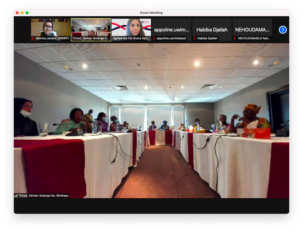 Did you know? The Chad government is working to develop its first #NationalActionPlan on #WomenPeaceSecurity!

GNWP with our partner #PILC, with support from <a href="/SwissMFA/">Swiss MFA</a> &amp; <a href="/AECID_es/">AECID</a>, has been working with the 🇹🇩 Ministry of Women as technical experts for the NAP development.