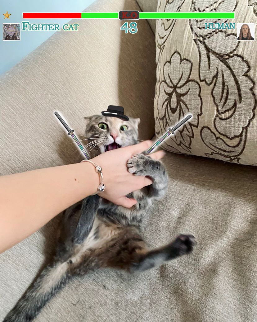 GM FELLAS ☕️😼

#NFT