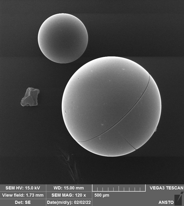 jessica veliscek-carolan tweet media