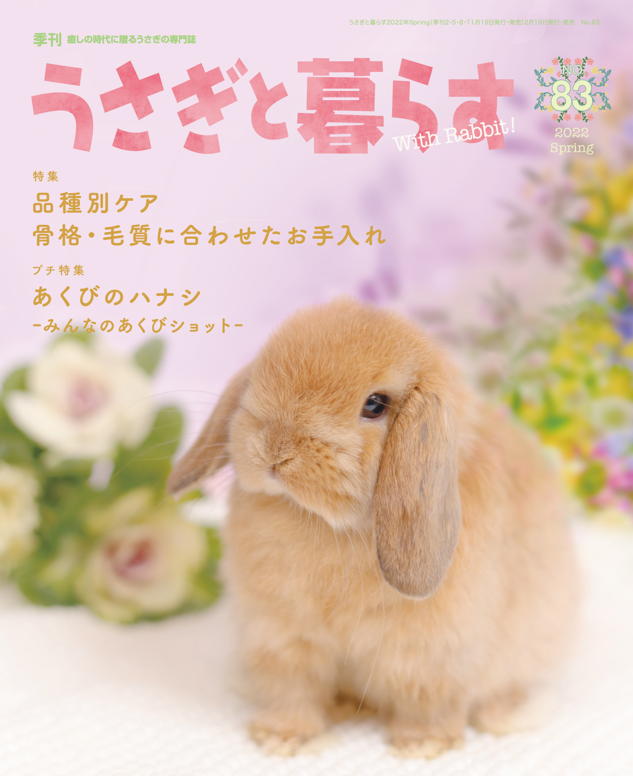 うさぎと暮らす」編集部🐰 (@USAKURAstaff) / Twitter