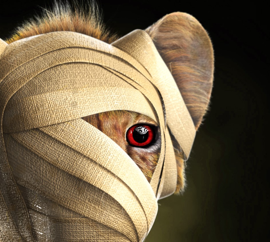 TheRoyalCubs's tweet photo. Make sure you join our discord ASAP. 👇👇👇

https://t.co/5PaQBLau1l

Founder has hinted a significant announcement is imminent tomorrow! 🚀

Cubs assemble! 🦁

#TheRoyalCubs #SpreadTheRoar #CubsFollowCubs #NFT #NFTCommunity #ETH #NFTGiveaway https://t.co/UiDCIe30VZ
