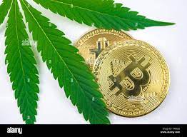 SobroDomains's tweet photo. https://t.co/f6O20kfor2 For sale accepting offers #domainnames #naming #cannabis #cannabisindustry #hemp #CBD #CyberSecurity #Blockchain #Marketing #DigitalMarketing #DigitalTransformation   #Startup #AI #Analytics #TechNews #bitcoinnews #Domains #WeedLovers #weedlife #bitcoin https://t.co/l41QvIJgS8