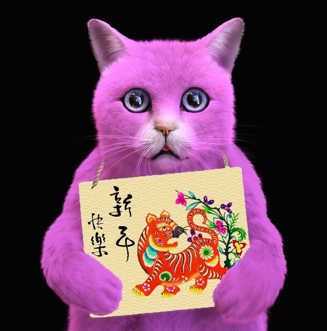 'It’s not just Chinese New Year, it’s the lunar new year, celebrated by a lot more countries than just China! In Vietnam it’s called Tet and you say “Chuc Mung Nam Oi”!' @CatAdvice_5762 @ParisHilton @ImakittycatNFT @jimmyfallon #OpenSeaNFT  #ChineseNewYear #LunarNewYear