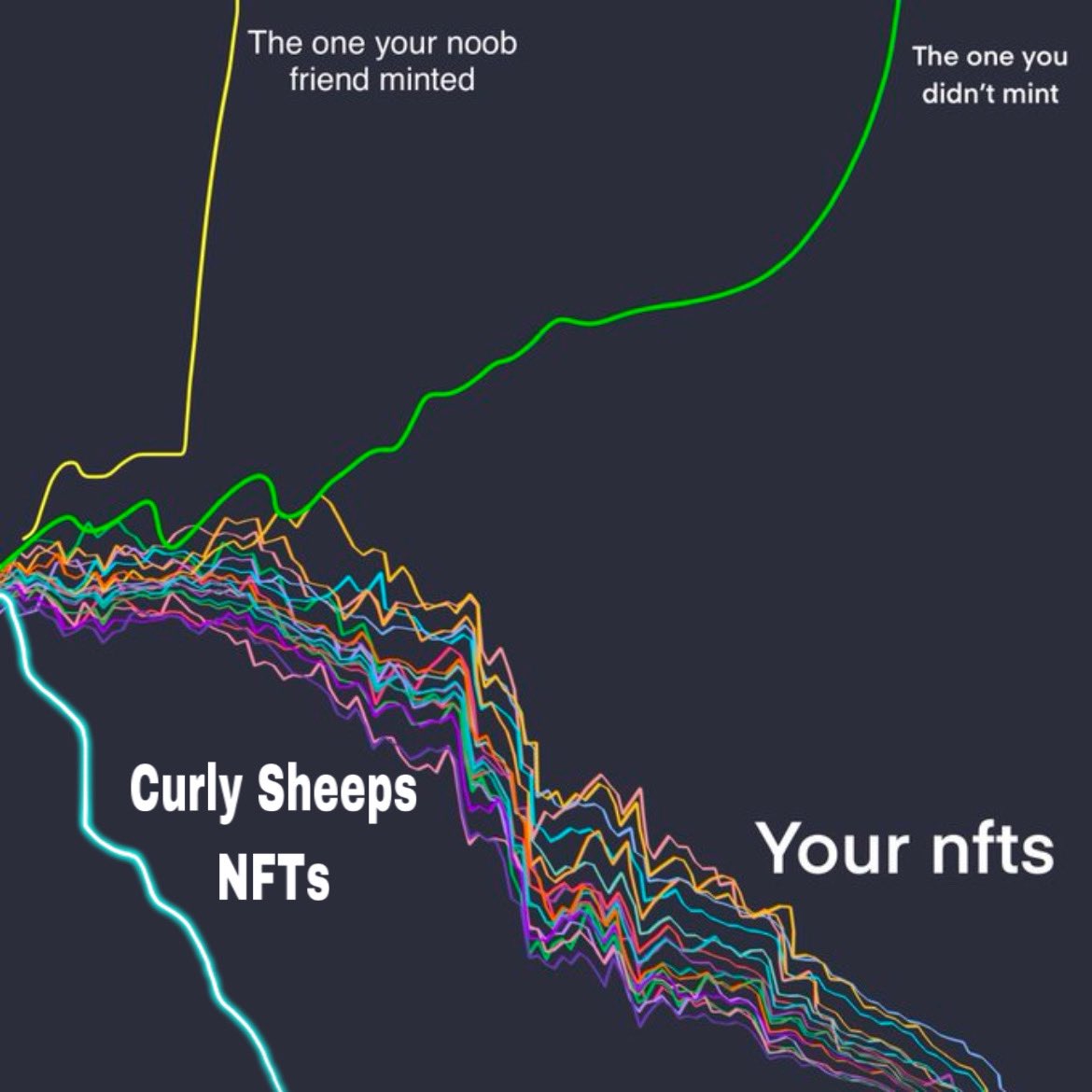 Curly Sheep(🐸,🍎) (@curlysheep19) on Twitter photo 