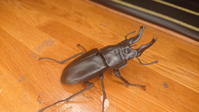 ビフォー アフター 