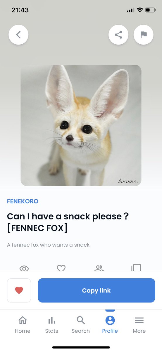 First NFT art🎉
🦊FENEKORO collection
「Can I have a snack please?」
Will you buy it?If you buy it,I can eat a lot of snacks🍫
opensea.io/assets/ethereu…

#nftcollector 
#NFT #NFTart #opensea #NFTJapan #NFTCollection #NFTCommmunity #NFTGiveaway #Giveaway #NFTs
#NFT友達　#NFT仲間