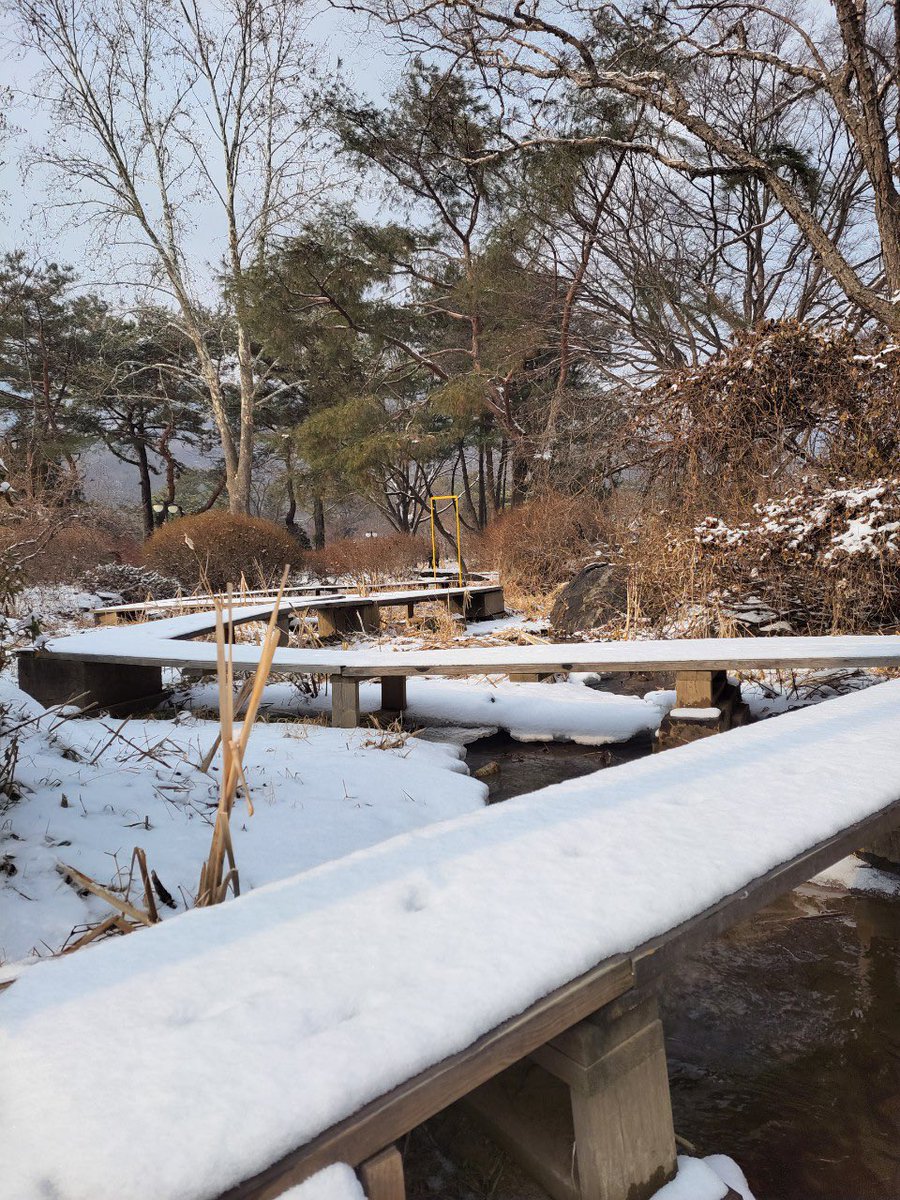 ggardenman's tweet photo. Winter garden @seowoonpark 
#서운동산 #겨울정원
#새해다시시작해보자 https://t.co/iAETFpEU11