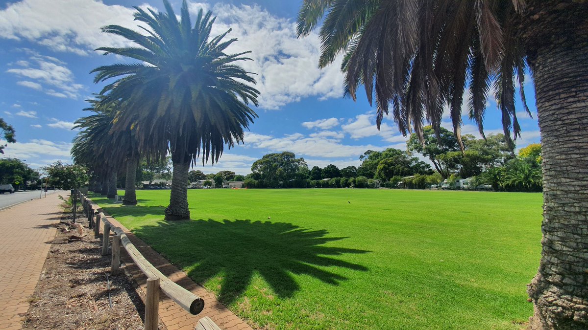 Walkerville5081 tweet media