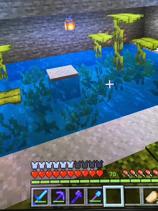 マイクラでウーパールーパーの繁殖方法や装置の作り方 餌のあげ方を紹介 リンの日記