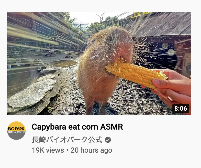 Alex Degen in my 2025 era tweet media