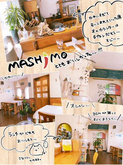 伊太利亜料理MASHIMOに行ってきました!!店内可愛いしお料理も素敵で美味しかった群馬の前橋にあります 