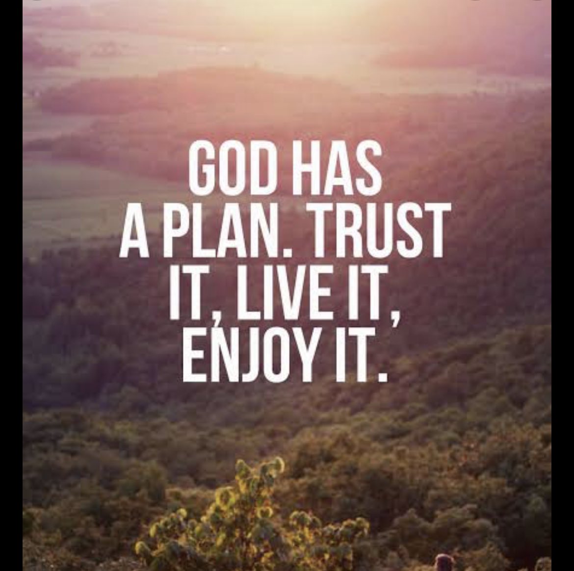 Godcoinonline's tweet photo. @Godcoinonline has plan for everyone to achieve what they want in thier life's. #godcoin #BinanceSmartChain #blockchain #coinpaprika #cryptocurrency #DeFi #NFTs https://t.co/wAL5yd8nof