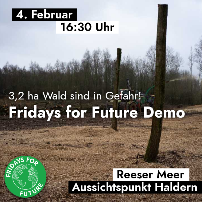 FFF_Kleve's tweet photo. Wir unterstützen die Reeser OG. Dort soll an der Rheinaue ein Wald gerodet werden.
Kommt zahlreich!
Freitag 16:30, Aussichtspunkt Haldern
#Rees https://t.co/fhWS7H3T5J