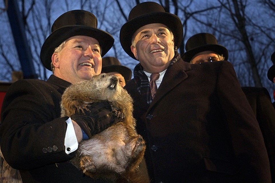 День сурка в сша