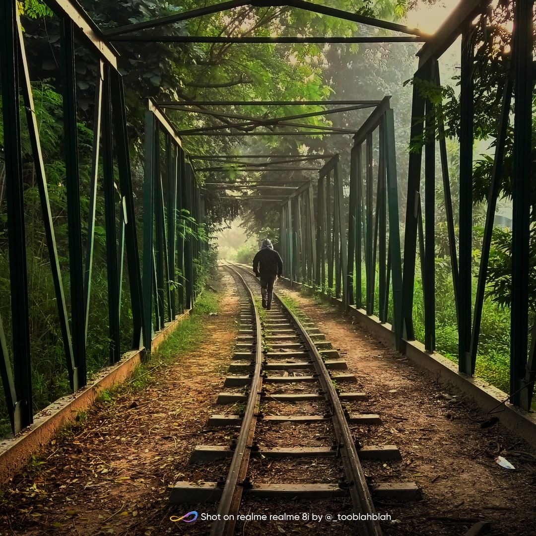 realmeCreators's tweet photo. Nurture yourself with nature! 
#realme8i #InfinitelySmooth 

#shotonrealme by @Toobafatima29 https://t.co/Ql3BdTxOwo