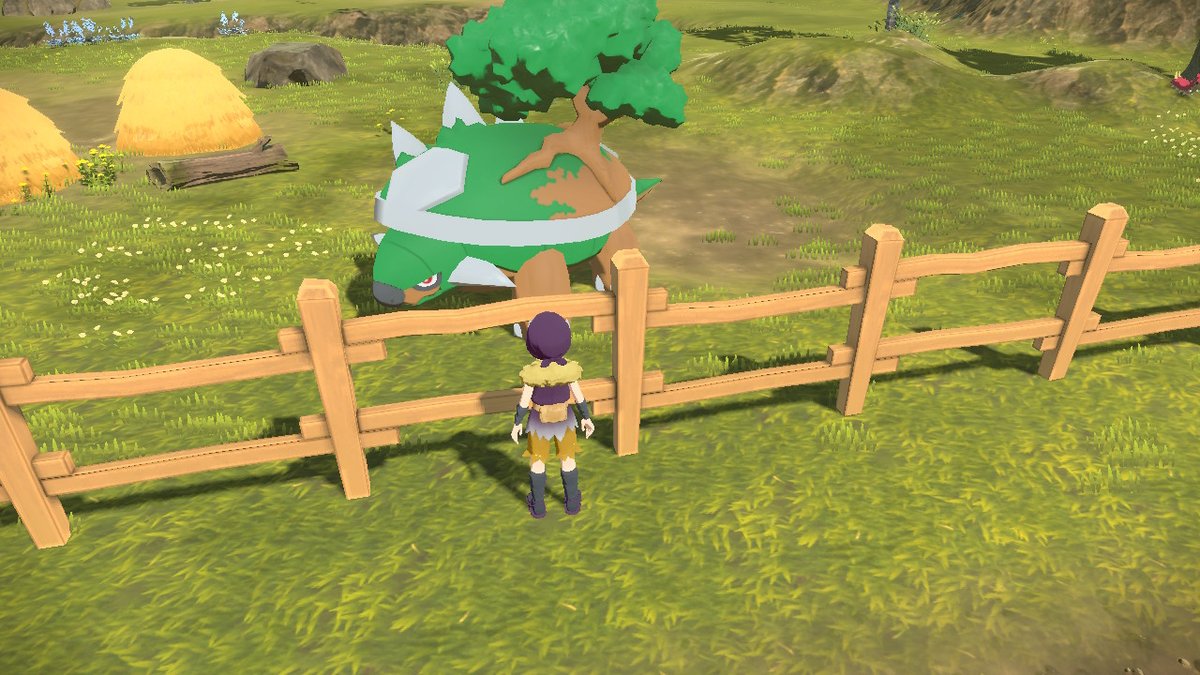 Mazzarnlok's tweet photo. Hey there big guy! #PokemonLegendsArceus #NintendoSwitch https://t.co/zBoOQA6k5t