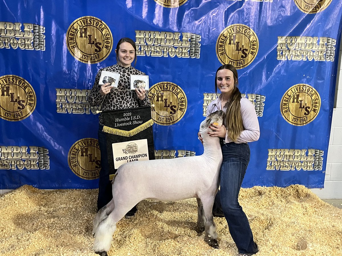 maryymart2's tweet photo. A bittersweet win 🤍 Finished my senior year as Grand Champion Lamb! Blessed is an understatement. @KingwoodFFA https://t.co/GJ8kdPcaiH