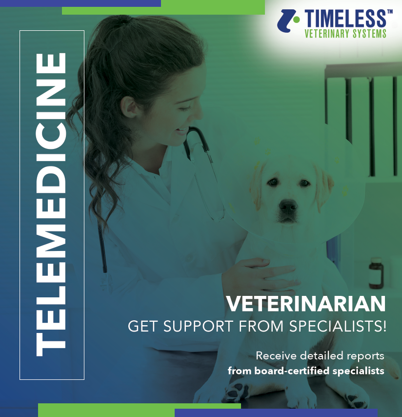 Timeless Veterinary tweet media