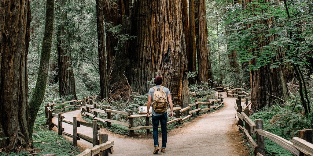 Goodspeed tweet media