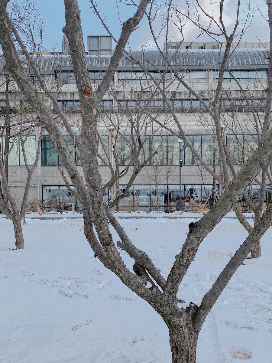 takeasipofkorea's tweet photo. Seoul crafts museum จดลงลิสต์สถานที่ต้องไปเมื่อมาเกาหลีได้เลย ตึกสวยมากกก  เมื่อวานเราไปถ่ายหลังหิมะตกพอดี บรรยากาศเหมือนอยู่ยุโรป 🤍❄️ #รีวิวเกาหลี https://t.co/XhjERELw2W