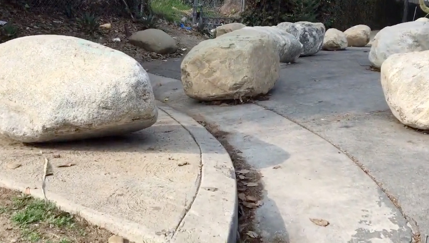 Danielle Baskin tweet media