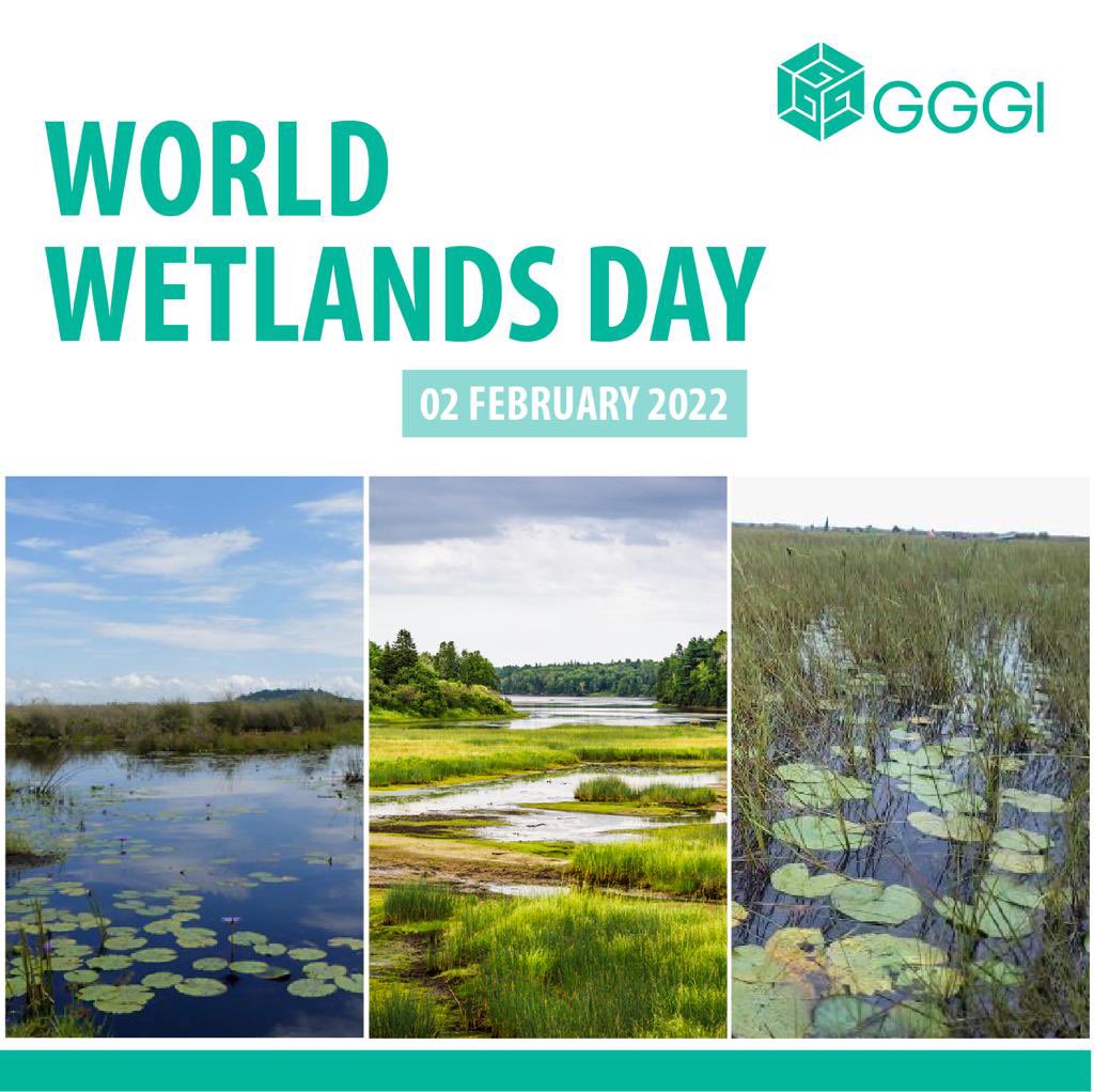 Today we celebrate #WorldWetlandsDay! It's upon us to maintain &amp; restore our #wetlands. The wetlands if restored in the long run,have the capacity to generate substantial rural livelihoods,reduce human-wildlife conflicts and provide a good habitat for fauna.<a href="/min_waterUg/">MINISTRY OF WATER AND ENVIRONMENT 🇺🇬</a> <a href="/nemaug/">National Environment Management Authority (NEMA)</a>