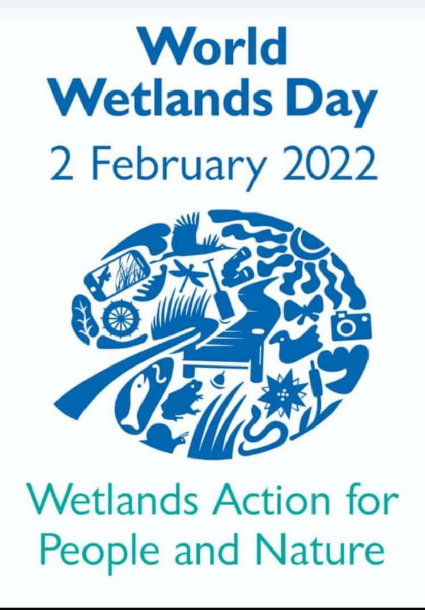 #Wetlands are our vital biodiversity Hotspots, they are essential for freshwater storage, a source of livelihoods, important for #climatechange mitigation and are essential for carbon sink. Let us work towards protecting our wetlands as they are key fresh water sources!