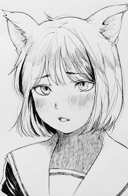 にゃー😾😽😹 