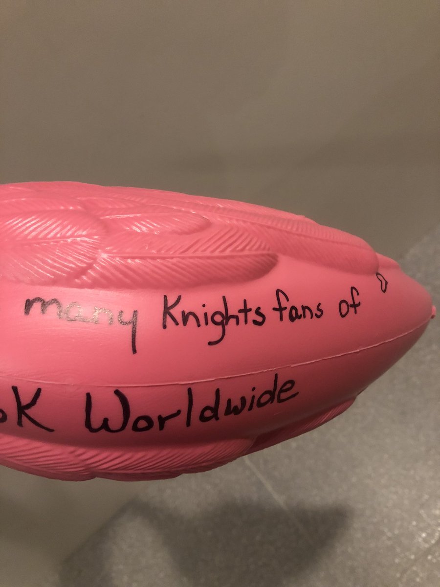 wyn_o's tweet photo. Shared credit:  @CattyWampus44 

To honor those around the world who may never get to visit The Fortress. 
#VegasBorn  #FlyFlamingo
#VGKFans https://t.co/5rjWD16TDR