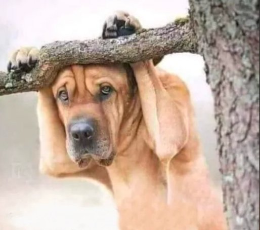 Pusing mikirin sifat Manusia Zaman Now!