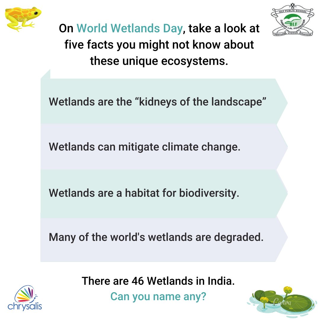 Let's learn five facts on 
World Wetlands Day
#WorldWetlandsDay 
#Quiz #participate #dlwsgn #dailyquiz #school #students #knowledge #education #learningisfun 
<a href="/dp_2211/">Dimple Puri</a> <a href="/AboutImpact/">Monica Patel</a> <a href="/akmittals/">Dr. Ashish Kumar Mittal</a> <a href="/FirstInMath/">First In Math</a> <a href="/Upasnakiumang/">upasna Choudhaary</a> <a href="/GAttreja/">Geetika Attreja</a> <a href="/jyotina79242724/">jyoti nagar</a> <a href="/ashokkp/">Ashok Pandey</a> <a href="/sodhisumedha/">Dr. Sumedha Sodhi #ClimateActionEdu</a>