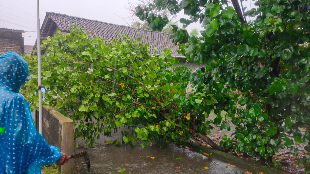 FPunokawan's tweet photo. Rabu (2/2) Hujan deras disertai angin kencang mengakibatkan terjadinya beberapa pohon tumbang di wilayah Pedukuhan Sonopakis Lor. Saat ini sedang dilakukan penanganan oleh rekan-rekan FPRB Punokawan dan warga sekitar https://t.co/C9nmEUDQfp